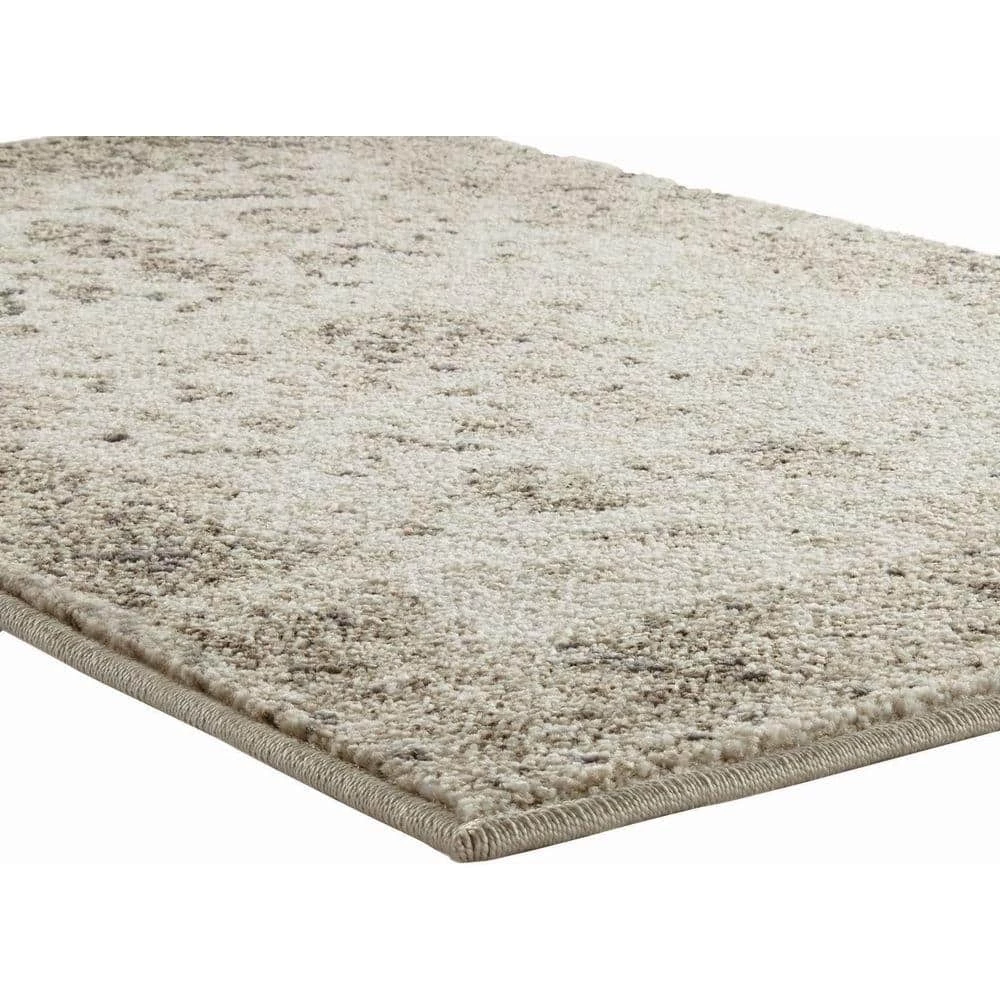Old Treasures Beige 8 ft. x 10 ft. Area Rug by Home Decorators Collection 3 Old Treasures Beige 8 ft. x 10 ft. Area Rug by Home Decorators Collection - Image 3