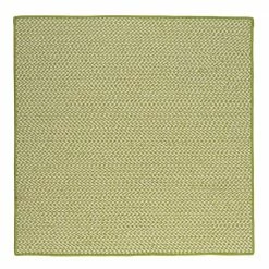 Sadie Lime 12 ft. x 12 ft. Indoor/Outdoor Braided Area Rug by Home Decorators Collection