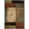 Hillsborough Multi 10 ft. x 13 ft. Area Rug by Home Decorators Collection