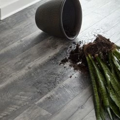 EIR Vienna Fusion 6-1/16 in. W Water Resistant Laminate Wood Flooring (597.45 sq. ft./pallet) by Home Decorators Collection -Home Decoration Sales 2024 vienna fusion home decorators collection laminate wood flooring hdcwr26p c3 1000